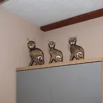 Ranczo Nad Stawem *