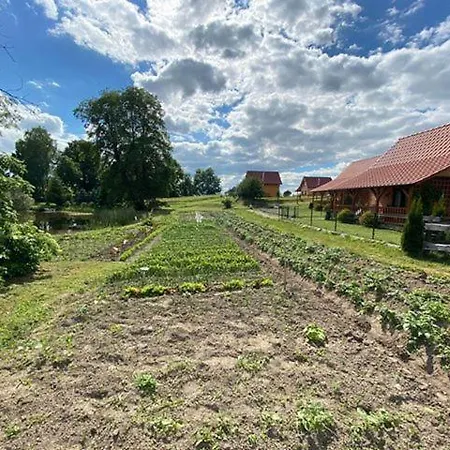 Séjour à la ferme Ranczo Nad Stawem *