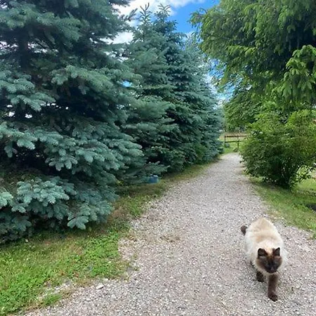 Фермерский дом Ranczo Nad Stawem Рын